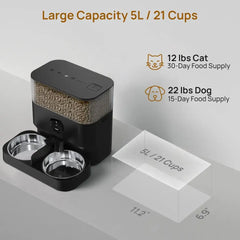 1-10 Meals Per Day Adjustable Bowl Height Smart Dog Cat Feeder with 2 Stainless Steel Bowls - United States