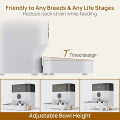 1-10 Meals Per Day Adjustable Bowl Height Smart Dog Cat Feeder with 2 Stainless Steel Bowls - United States