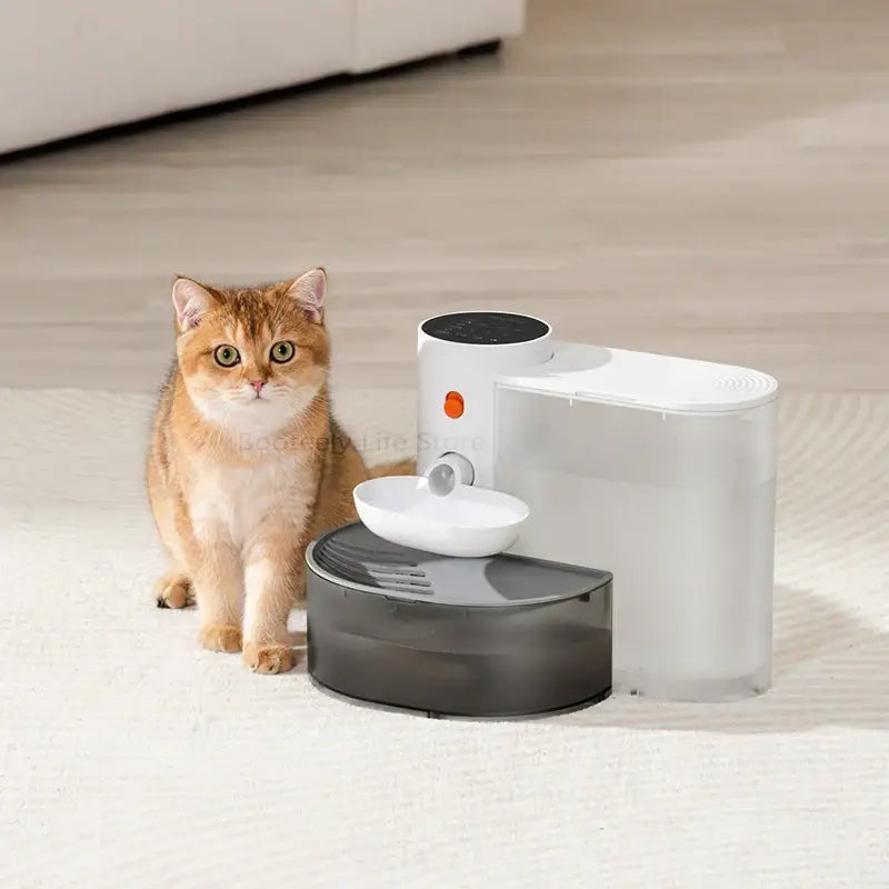 Dispenser Cat Water Fountain Moving Water Unplugged Automatic Water Feeder Pet Dog Drinker Pet Feeder Cat Fountain - S