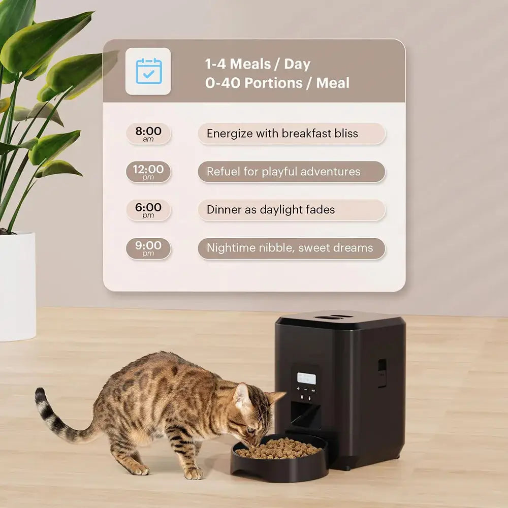 New 2L pet feeder smart food dispenser for cats and dogs regular and quantitative feeding of pets scientific feeding