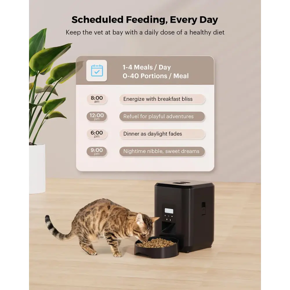 New 2L pet feeder smart food dispenser for cats and dogs regular and quantitative feeding of pets scientific feeding