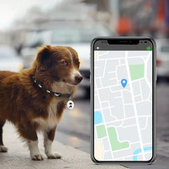 Smart Gps Tracker For Cats Dogs Long Distance Pets GPS Tracker Mini Waterproof Gps Tracker Collar For Android IOS