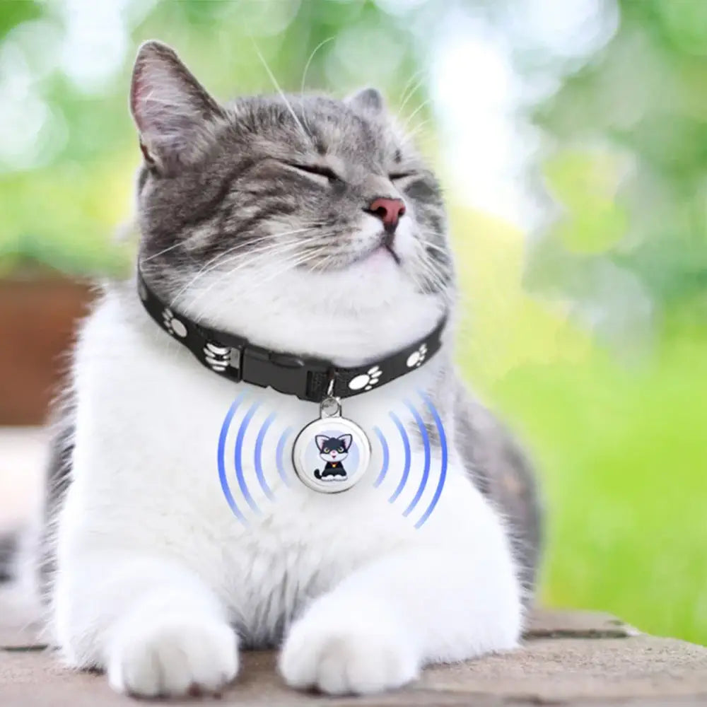 Smart Gps Tracker For Cats Dogs Long Distance Pets GPS Tracker Mini Waterproof Gps Tracker Collar For Android IOS