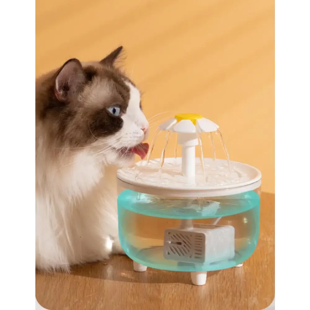 USB Electric Mute 1L Pet Water Fountain Automatic Cat Drink Bowl Filter Pet Drinking Dispenser Drinker For Cats Water